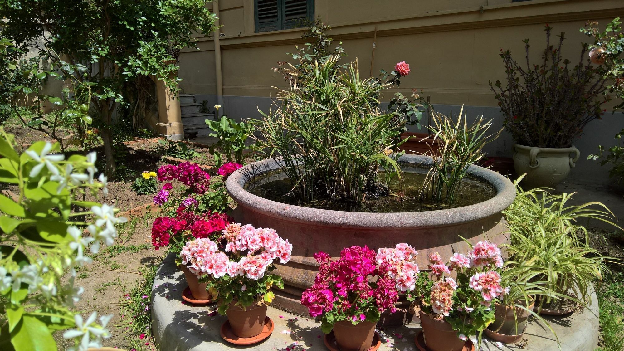 מלון פלרמו Le Rose Del Viale מראה חיצוני תמונה
